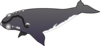 Bumpy Whale Clip Art